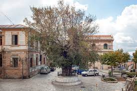 San Lorenzo